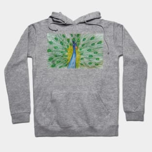 Peacock Study Hoodie